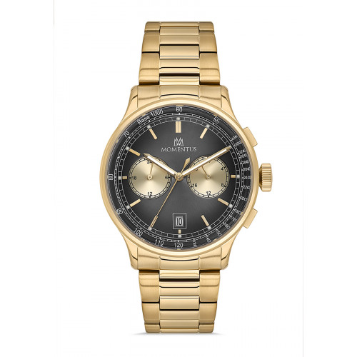 Momentus Erkek Kol Saati CC305G-04SG