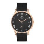 Erkek Kol Saati Hislon-CL120R-04BR