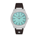 Hislon CL148S-10KS Erkek Kol Saati