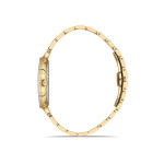 Hislon Erkek Kol Saati CL217G-08SG