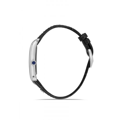 Momentus Erkek Kol Saati CM365S-04BS