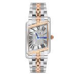 Momentus Erkek Kol Saati CM365T-02SR