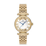 Kadın Kol Saati Momentus-CW280G-02TG