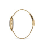 Kadın Kol Saati Momentus-CW280G-08SG