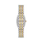 Momentus Kadın Kol Saati CW310T-15SG