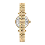 Momentus Kadın Kol Saati CW341G-02TG