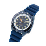 Nautica NAPNVS403 Erkek Kol Saati