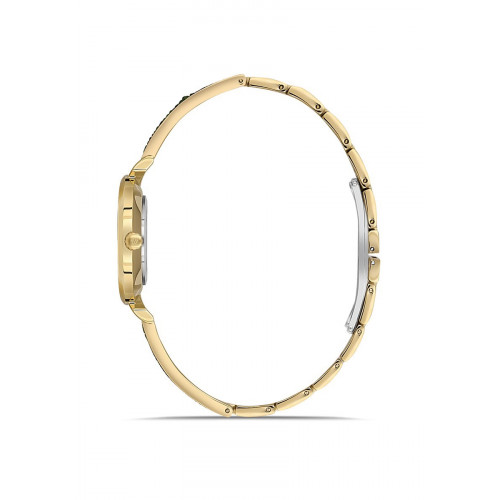 Momentus SW274G-15SG Kadın Kol Saati