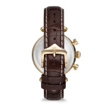 Momentus TC250G-02KG Kadın Kol Saati