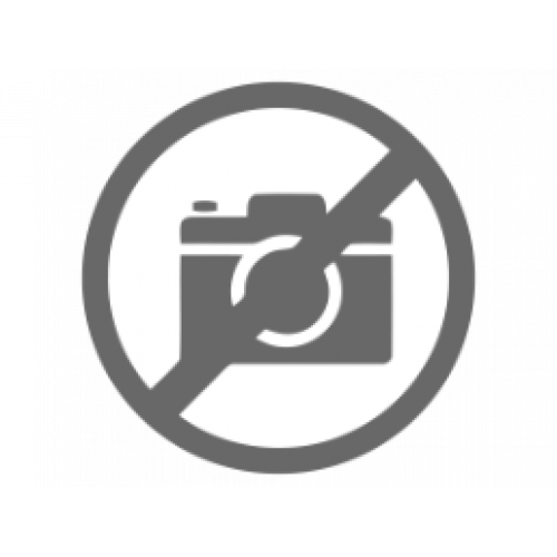 Kadın Kol Saati Momentus-CS380G-02SG