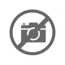 Kadın Kol Saati Momentus-CS384T-02SG